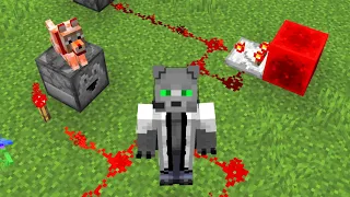 10 Cosas Que No Sabías Sobre la REDSTONE!!