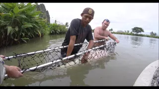 Two Arapaima in One Day - Jurassic Mountain Fishing Resort in Thailand