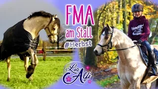 Lia & Alfi - Herbst FMA am Stall