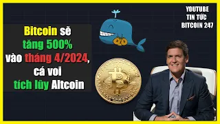 Bitcoin sẽ tăng 500% vào tháng 4 năm 2024, cá voi tích lũy Altcoin