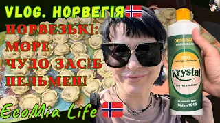 ЧУДОВИЙ НАРОДНИЙ ЗАСІБ. ПЕЛЬМЕНІ. ЯК ВОНО КУПАТИСЬ В НОРВЕЗЬКОМУ МОРІ?/№10 - 05.2024/EcoMia Life