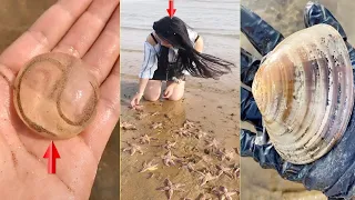 Catching Seafood 🦑🦀 Deep Sea Octopus (Catch Crab, Catch Fish,Catch Shark) - Tik Tok #2