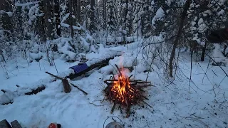 На лыжах в лес, пельмешки на костре, нашли чью-то стоянку.