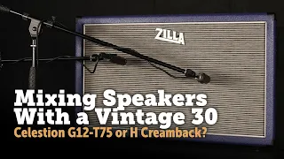 Speaker combinations. Celestion Vintage 30 with G12T-75 and H creamback