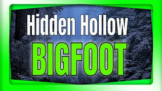 Hidden Hollow Bigfoot Encounter