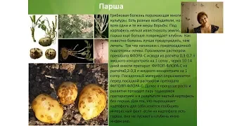 Выращиваем картофель правильно. Повышаем урожай ягодных культур. Цветник. Особенности пересадки