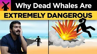 Why You Shouldn't Ever Touch a Dead Whale (RealLifeLore) CG Reaction