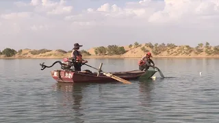 GLOBALink | Raising crabs in desert brings delicacy, wealth to Xinjiang locals