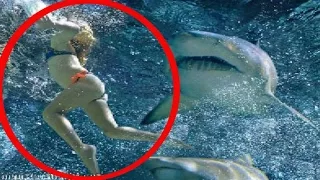 Shark Attack! Woman gets eaten alive by a shark! Scary! OMG