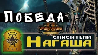 Цари Гробниц прохождение Total War Warhammer 2 за Архана Черного - #24 Победа