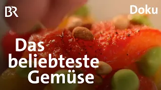 So schmeckt Sommer: Schmidt Max und die Tomate | freizeit | Doku | BR