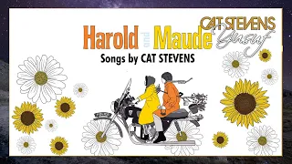 Yusuf / Cat Stevens – Harold and Maude 50th Anniversary Release