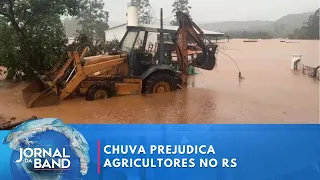 Chuvas afetam produção agrícola no Rio Grande do Sul | Jornal da Band