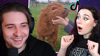 Wholesome TikToks with LivBev (send help)