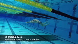 How to Achieve a Fast breaststroke Pullout with Chloe Sutton