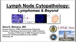 Looking at Lymph Node Cytology: Lymphomas and Beyond