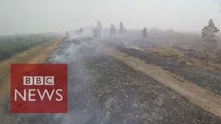 Why are peatlands burning in Indonesia? BBC News