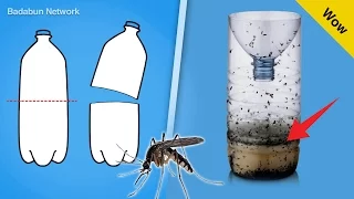 Mira el truco para eliminar los mosquitos con una botella de plástico