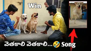 Game Start చెయ్ బె...🤣 | Srinu vs Sandy | Upe vs Gani | @upendragani