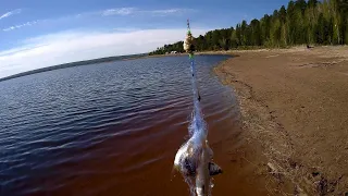 СЕТКА С КОРМУШКОЙ!!! ОНА КОСИТ ВСЮ РЫБУ!!!