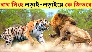 বাঘ vs সিংহ লড়াই-লড়াইয়ে কে জিতবে।।Most Wanted Fight Tiger vs Lion।। Lion vs Tiger Fight In Bangla