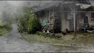 [4K] Heavy Rain Walks in Indonesia's Highest Village | Beautiful and Neat village