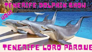 Loro Parque Dolphin Show.Les Dauphins - Loro Parque.Loro Parque海豚表演.Шоу дельфинов в Лоро Парке.