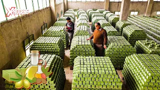 How Millions of Bathing Soaps Are Made From OLIVE OIL | 50,000 Soaps Everyday!