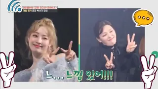 Best Funny Moments - Jeongyeon & Dahyun -