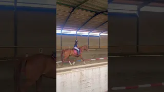 Niña saltando con caballo. #equitación #galope #horse #caballos #horseriding #saltoequitacion