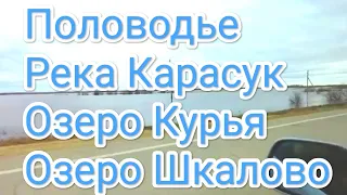 Половодье на водоемах в Карасукском районе Новосибирской области