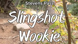 Slingshot Wookie trail — Stevens Pass Bike Park, Downhill Mountain Biking Stevens Pass Washington