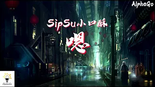 SipSu小口酥 - 嗯『嗯当I am ready那些faker rapper们的bad day，想换掉我的位置请你后面排队。』【动态歌词/Pinyin Lyrics】(少年说唱企划)