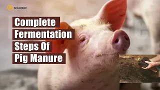 Video of how to make pig manure compost