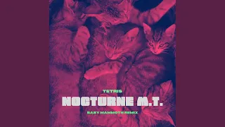 Nocturne M.T. (Baby Mammoth Remix)