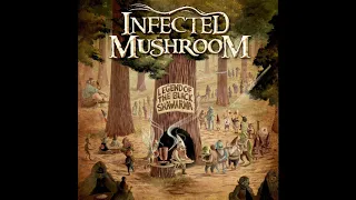 Infected Mushroom - Riders on the Storm (Infected Mushroom Remix) 432Hz