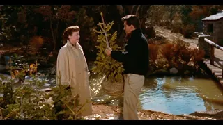 All That Heaven Allows (1955) by Douglas Sirk, Clip: Ron and Cary visit his Silver tip Spruce trees!