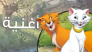 "سبعاوي و بحلات" - قطط ذوات