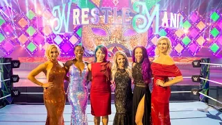 First glimpse of WrestleMania 34 set revealed