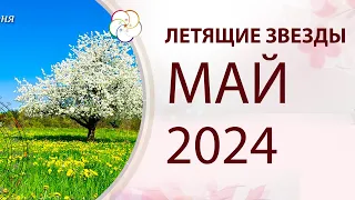 ФЭНШУЙ 2024:  Прогноз по Летящим Звездам на МАЙ 2024