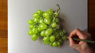 How to draw green grapes - Time Lapse (Long Version)