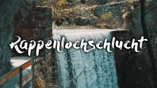 Rappenlochschlucht Dornbirn Austria 4K | Cinematic Video