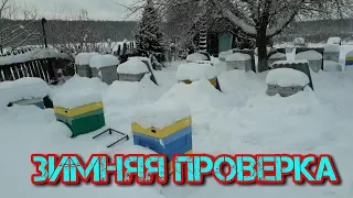 Зимний осмотр пчёл на Клеща