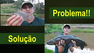 As tilápias reproduziram muito no lago!! E agora como resolver!!