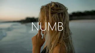 Nikademis & Leuthero - Numb (Lyrics) ft. Skye Silansky