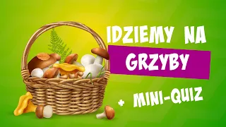 Grzyby 🍄 Grzyby jadalne | Grzyby trujące | Grzyby pl