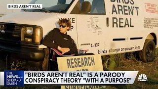 Parody conspiracy theorists swear birds aren't real