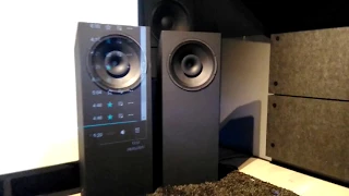 Beyma 15CXA400Fe - large surround speaker setup and test (1).