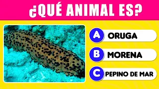 ADIVINA EL ANIMAL ACUATICO 🐠🐙 Adivina por la IMAGÉN | ANIMAL QUIZ