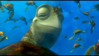 Finding Nemo: OK, first, find your exit buddy.